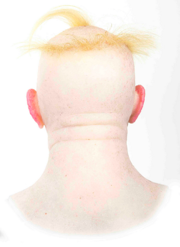CLOWN TRUMP