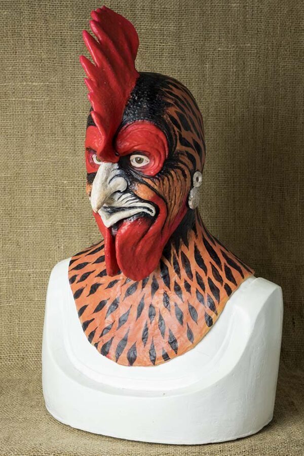 DSC07306 Mr ROOSTER