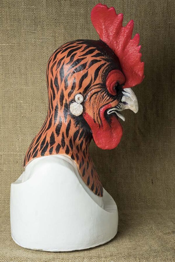 DSC07309 Mr ROOSTER