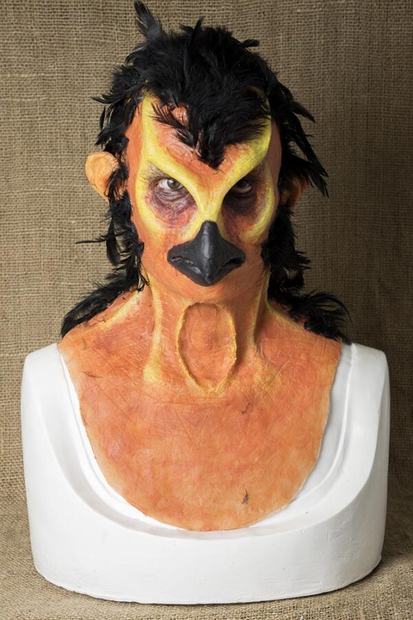 LADY FENIX