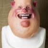 Mr PIG
