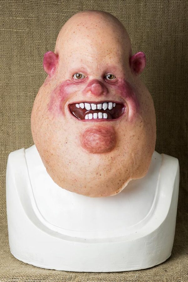 Mr PIG