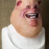 Mr PIG