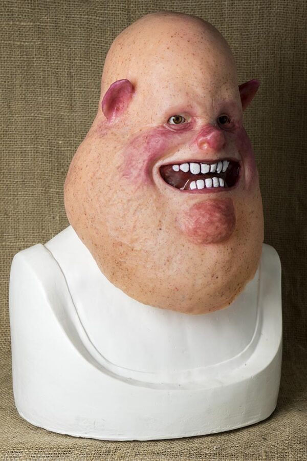 Mr PIG