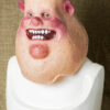 Mr PIG