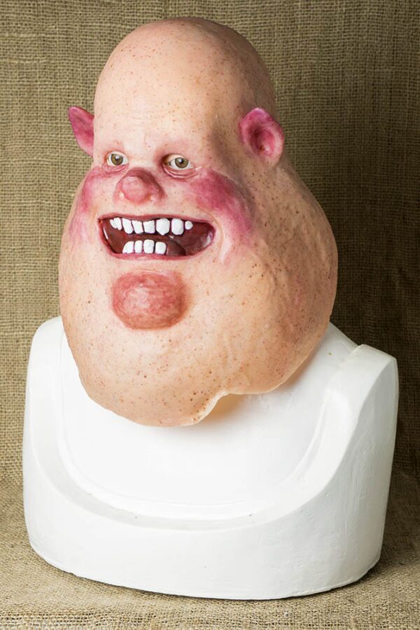 Mr PIG