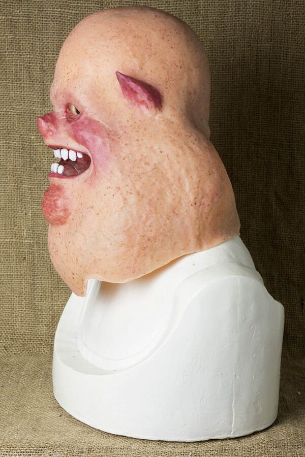 Mr PIG