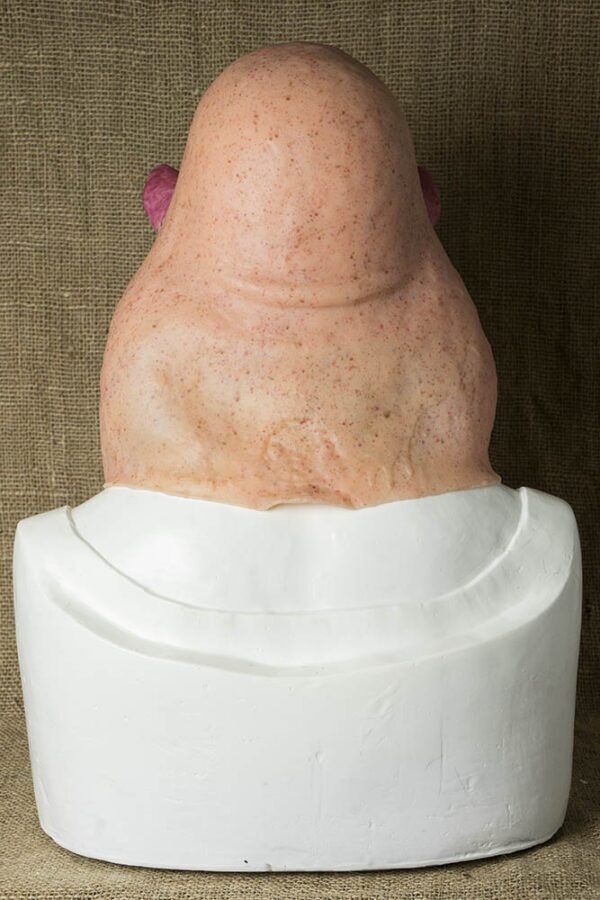 Mr PIG