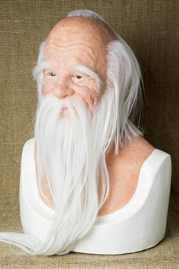 DSC07569 OLD WIZARD