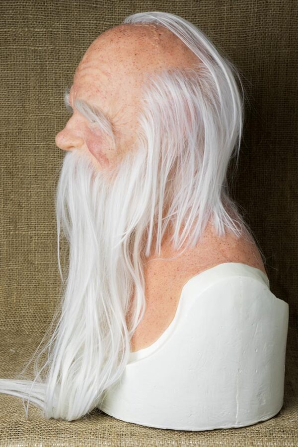 DSC07570 OLD WIZARD