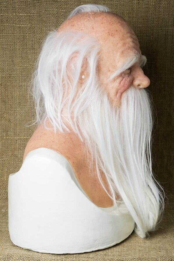DSC07572 OLD WIZARD