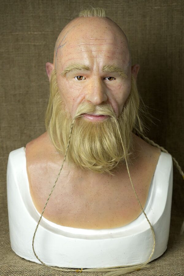 VIKING BJORN