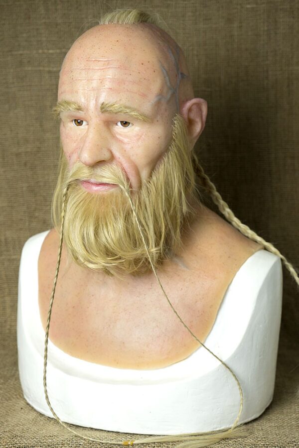 VIKING BJORN