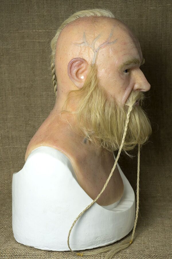 VIKING BJORN