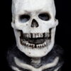 SKELETON
