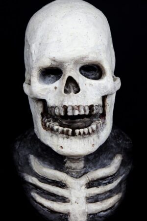 SKELETON