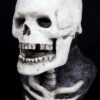 SKELETON