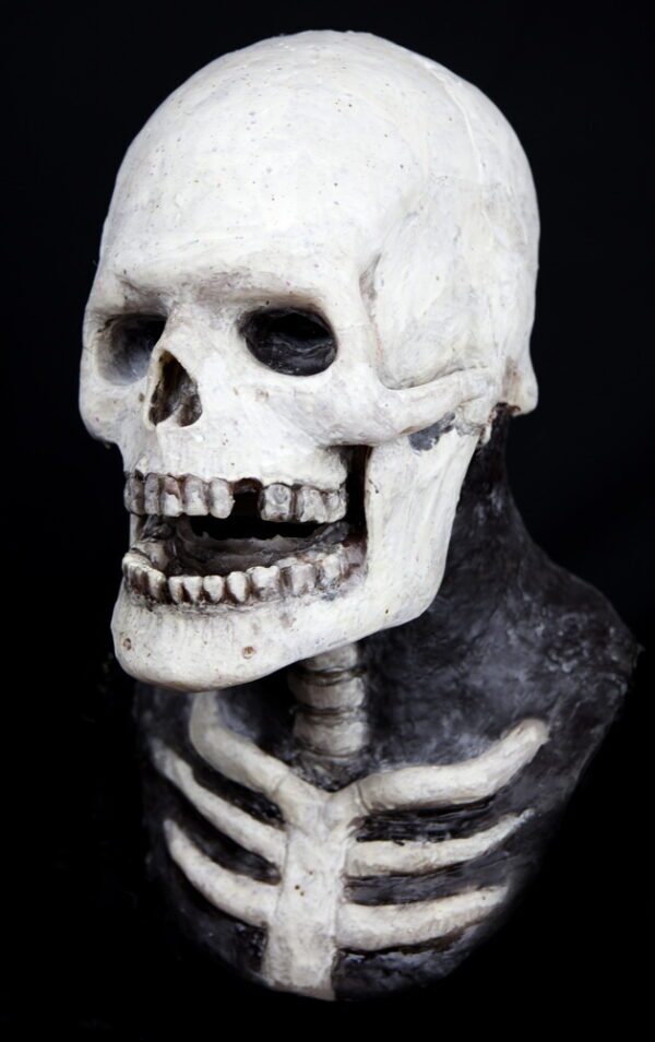 SKELETON