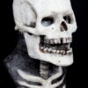 SKELETON