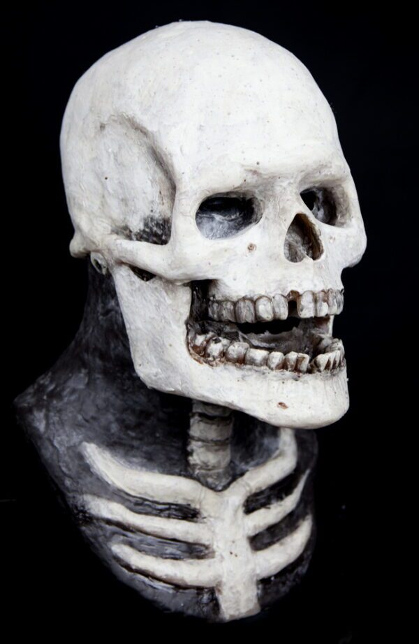 SKELETON