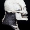 SKELETON