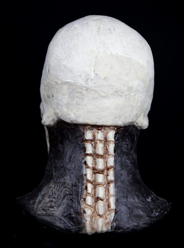 SKELETON