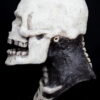 SKELETON