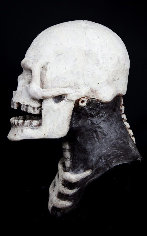 SKELETON