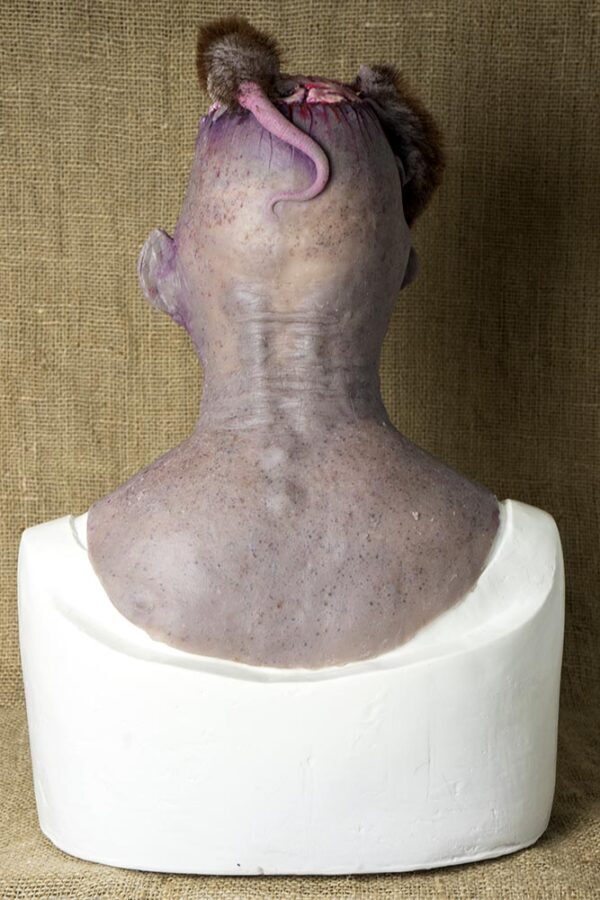 PURPLE MONSTER